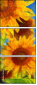 108425376