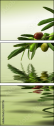 11107716