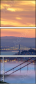 115585568
