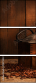 11872422