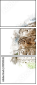 119511538