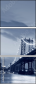11982296