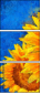 121341764