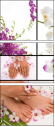 12605411