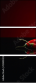128050232