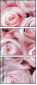 128745282