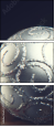 130059484