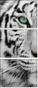 13468757