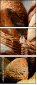 135046783