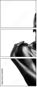 13614515