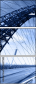 13637582