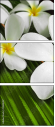13848417