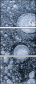 140346351