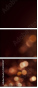 142120127