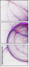 144026994