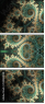 144040058