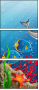 14413857