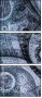 144214489