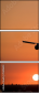 1443651