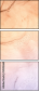 145026645