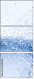 145099972