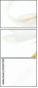 152237593