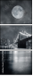 15676398
