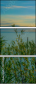 167728360