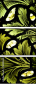 16903361