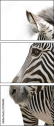17246984