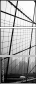 176017620