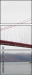 177554259