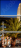 18176572