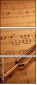 19511940