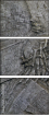 20059228