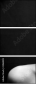 2060813