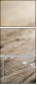 20624590