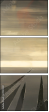 21155951