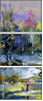 21414524