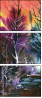 21415554