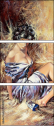 21581087