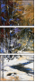 21655913