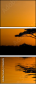 2165695