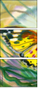21683658