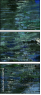 21687116