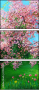 21924091