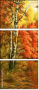 22048454