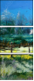 22048664