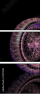 22171142
