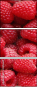 22816665